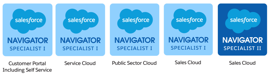 An image shows the different categories of Salesforce implementation experts available through HigherEchelon 
